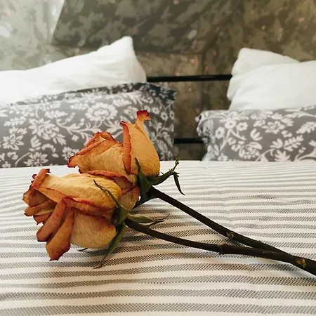 U Zamecke Dyje Апартаменты